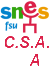 Comité social d'administration académique (CSAA) (ex-CTA)