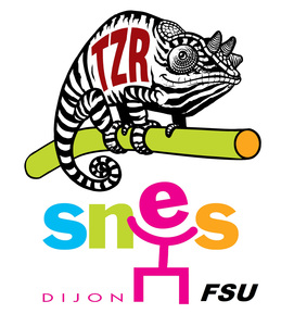 Guide de l'enseignant TZR